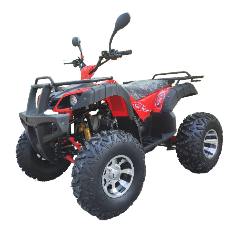Hot sale model 150cc atv 4X2 2 wheel 4 wheel ATV off road for sale